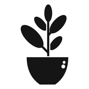 Yuvarlak bir tencerede büyüyen oval yapraklı bir bitkinin siyah silüeti.