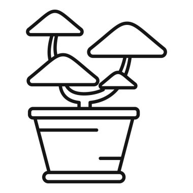 Bonsai ağacı bir tencerede büyüyor, barışçıl ve zen bir atmosfer yaratıyor.