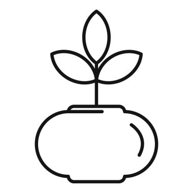 Çiçek saksısından çıkan üç yapraklı küçük bir bitki.