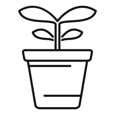 Web ve mobil, modern minimalist çizgi tasarımı için ince bir saksı simgesinde büyüyen küçük bitki