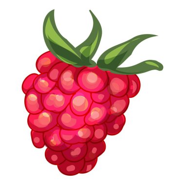 Beyaz arka planda büyüyen yeşil yapraklı olgun ahududu.