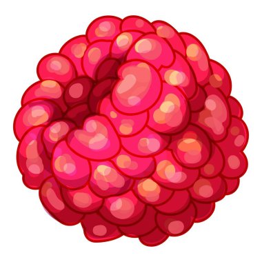 Parlak kırmızı ahududu ve detaylı ampuller tazelik ve lezzet hissi yaratıyor.