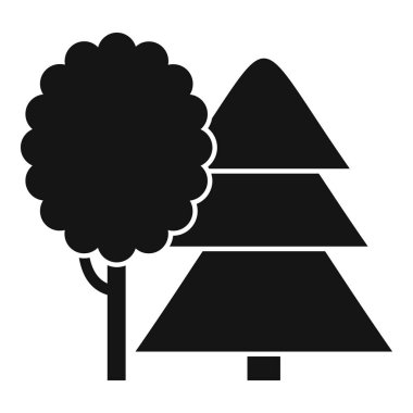 Tarzlanmış ağaç ve kozalaklı ağaç yan yana büyüyor.