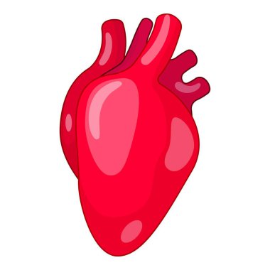 Sağlıklı bir insan kalbinin kan pompalaması kardiyovasküler sağlık ve zindeliği temsil ediyor.