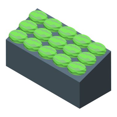 Küçük bir işletme için karpuz sera plantasyonunun karpuz manzarası.