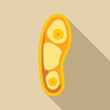 Uzun gölgeli sarı bir bakterinin hücre yapısını gösteren bir resim.