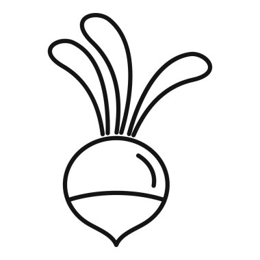 Yapraklarla büyüyen taze pancar kökü sağlıklı bir yaşam tarzını ve organik tarımı simgeliyor.