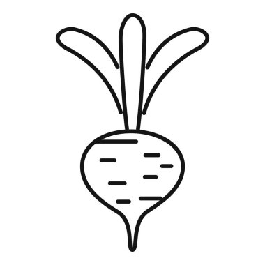 Yeraltında büyüyen yaprakları olan bir pancar pancarının basit çizimi, tarım veya gıda tasarımı için.