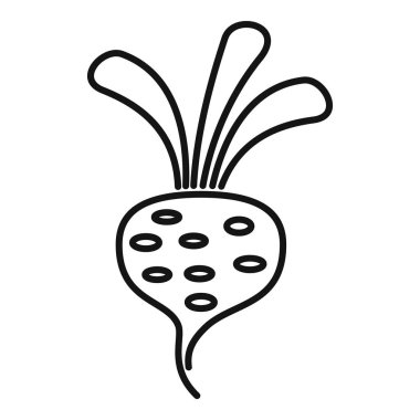 Beyaz arkaplanda yaprakları büyüyen pancar kökü, basit el çizimi illüstrasyon