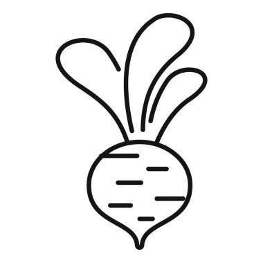 Pancar kökünün basit bir çizgisi çizimi, yaprakları üstten çıkıyor.