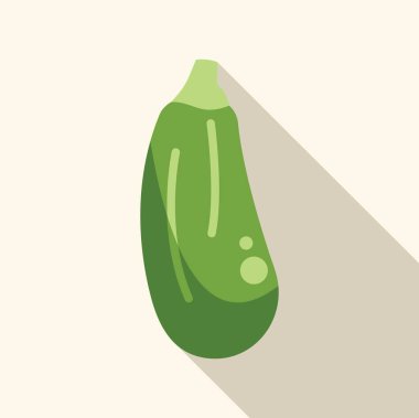 Tek yeşil kabak, açık bir arkaplanda uzun bir gölge bırakıyor.