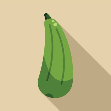 Bekar yeşil kabak bej arka planda uzun bir gölge bırakıyor.