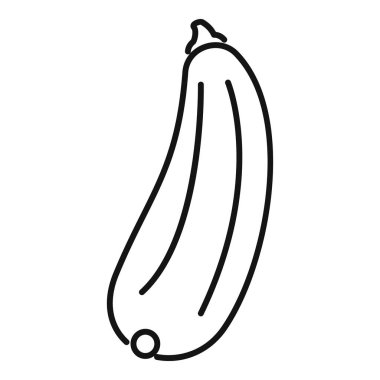 Beyaz arka planda tek bir taze kabak çizimi