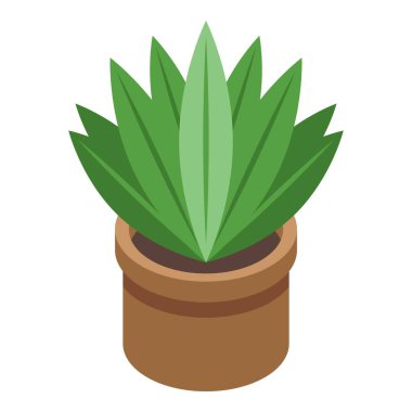 Kil çömlekte büyüyen yeşil ev bitkisi beyaz arkaplanda izole edilmiş izometrik çizim