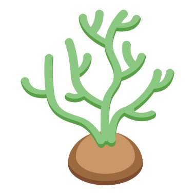 Deniz tabanında büyüyen yeşil deniz yosunu, uzun ince gövdeli ve yapraklı deniz bitkisi.