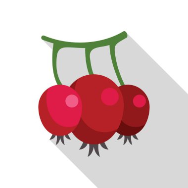 Bir daldan sarkan üç kırmızı dut, uzun bir gölge