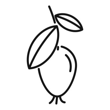 Yapraklı deniz karabatağı üzümü basit çizimi, doğayla ilgili minimalist tasarımlar ve sağlıklı yiyecekler için ideal.