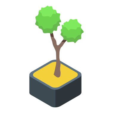 Kare bir tencerede büyüyen küçük bir bonsai ağacının tuhaf manzarası