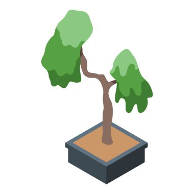 Kavisli gövdesi olan küçük bonsai ağacı tencerede büyüyor.
