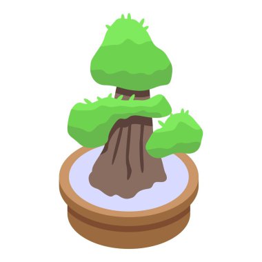 Kalın gövdeli ve yemyeşil yapraklı küçük bonsai ağacı bir tencerede büyüyor.