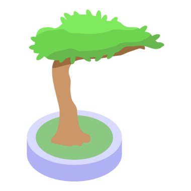Kavisli gövdesi olan küçük bonsai ağacı tencerede büyüyor.