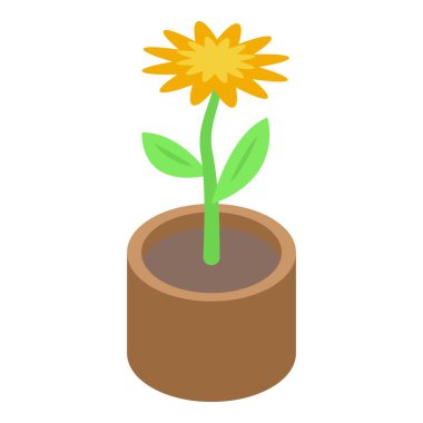 Bir tencerede yetişen sarı çiçek, büyümeyi, doğayı ve bahçeyi temsil ediyor.