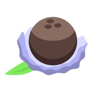 Bütün hindistan cevizi yakın bir yerde tropik bir yaprağın olduğu bir peçetenin üzerinde duruyor.