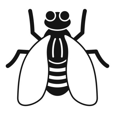 Siyah ve beyaz saray sinekleri hastalıkları kanatlarını açarak yayıyor.