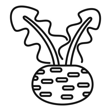 Yapraklarla büyüyen basit pancar kökü tarım ve gıda endüstrisi için mükemmel.