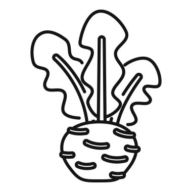 Yaprak çizgisi simgesiyle yetişen basit ve taze organik kereviz kökü.