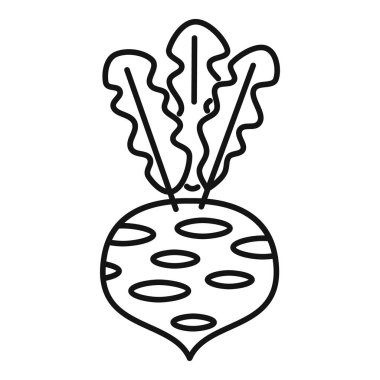 Yaprakları yukarı doğru büyüyen basit pancar kökü, siyah beyaz çizgi simgesi biçiminde çizilmiş