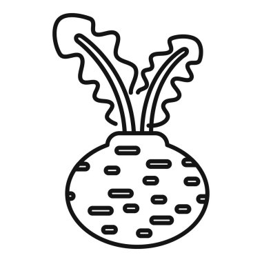 Yaprak ikonu ile büyüyen pancar sağlıklı sebzeleri gösterir