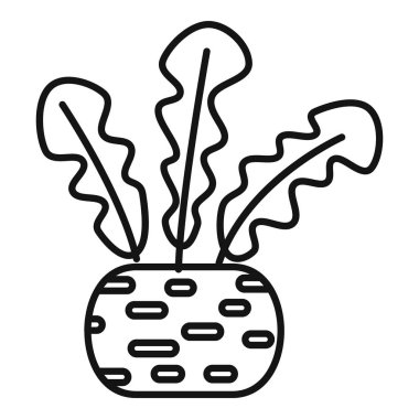 Yerde yetişen taze organik turp büyük yapraklı, çizgi simgesi tarzında.