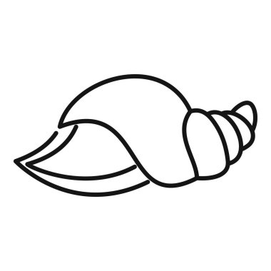 Deniz kabuğunun basit çizimleri, sahil taraması ve okyanus yaşamını çağrıştırıyor.