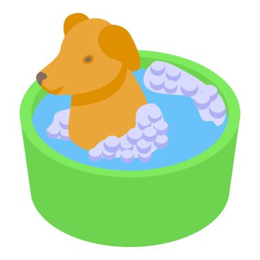 Tatlı Golden Retriever köpeği su ve kabarcıklarla dolu yeşil bir havuzda rahatlatıcı bir banyo yapıyor.