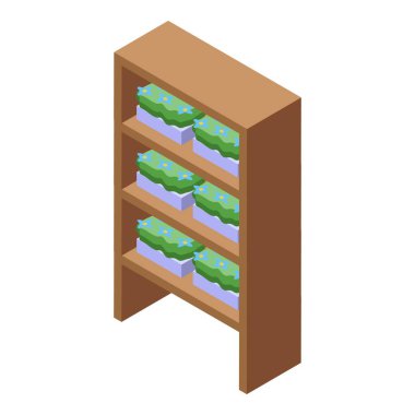 Ahşap raf ünitesinde her rafta mavi çiçekli birkaç özdeş saksı bitkisi sergileniyor.