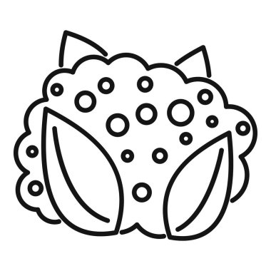 Lahana toprakta büyüyor ve büyük yapraklarla büyük bir kafa oluşturuyor.