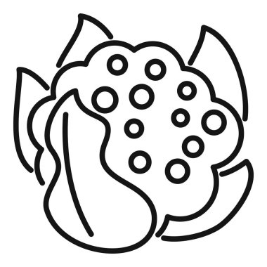 Çiftlikte yaprakları büyüyen taze karnabahar, sağlıklı yiyecekler, çizgi ikonu tasarımı