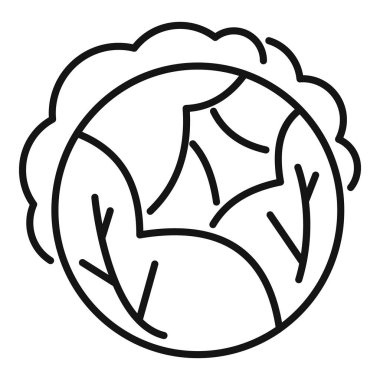 Lahana kafasının basit ve minimalist çizimi, market, tarım veya tarım projeleri için ideal