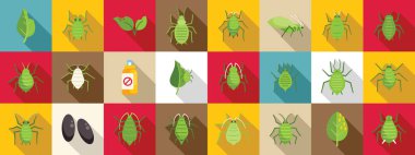 Yaprak biti simgeleri ayarlandı. Çeşitli yaşam aşamalarında yaprak bitleri, yapraklar ve böcek ilacı spreyleri içeren renkli simge seti