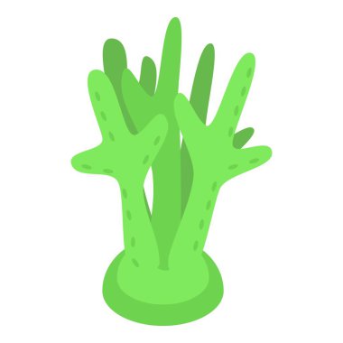 Bu resimde okyanus tabanında büyüyen parlak yeşil bir deniz yosunu var.