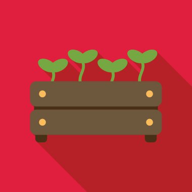 Tahta bir sandıkta büyüyen dört fidan, yeni yaşamı ve büyümeyi temsil ediyor.