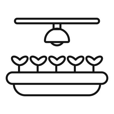 Yapay ışık kaynağı sırada büyüyen fideleri aydınlatıyor