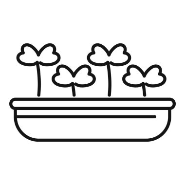 Hidrofonik tepside büyüyen ve sürdürülebilir kentsel çiftçiliği temsil eden mikro yeşilliklerin basit taslak simgesi