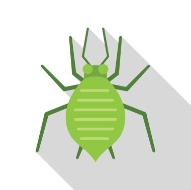 Yeşil yaprak biti böcek böcek simgesi, uzun gölgeli, beyaz arkaplan üzerinde izole