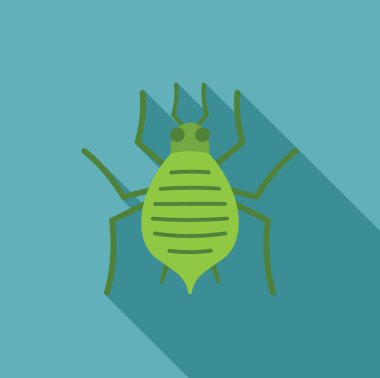 Yeşil yaprak biti böcekleri, minimalist düz bir dizaynda sürünüyorlar.