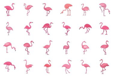 Pembe flamingo koleksiyonu, bazıları boyunlarını bükerek zarif ve canlı varlıklarını sergiliyor.