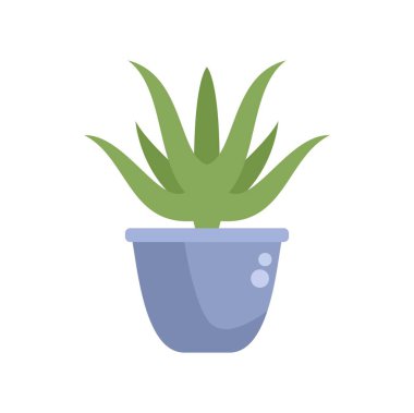 Bir tencerede yetişen yeşil aloe vera, minimalist ve modern tasarım projeleri için mükemmel.