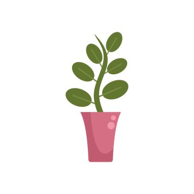 Oval yapraklı bir bitkinin, beyaz bir arka planda, pembe bir tencerede büyümesinin basit bir çizimi.