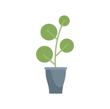 Küçük bir pilea peperomioides bitkisinin beyaz arka planda izole bir şekilde büyüdüğü minimalist vektör illüstrasyonuName